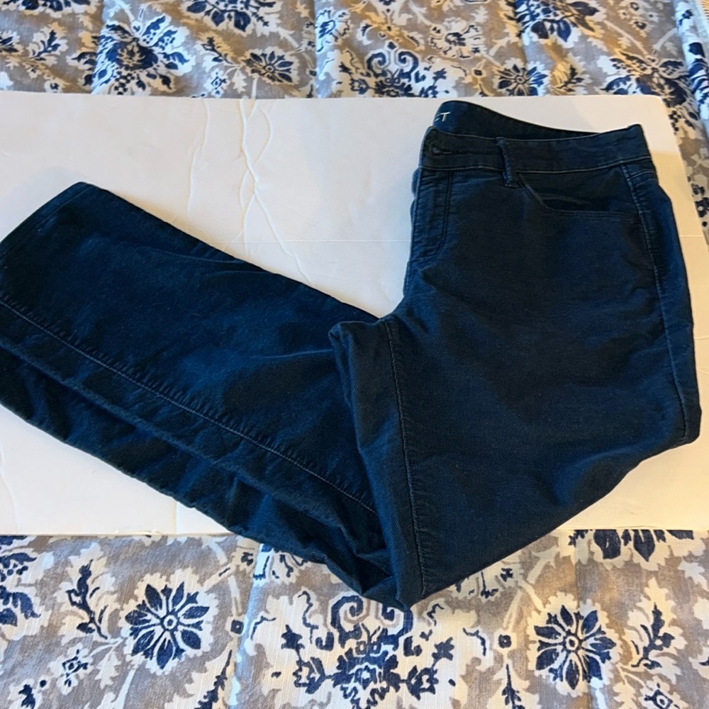 Ann Taylor Loft Blue Corduroy Pants
Modern Straight